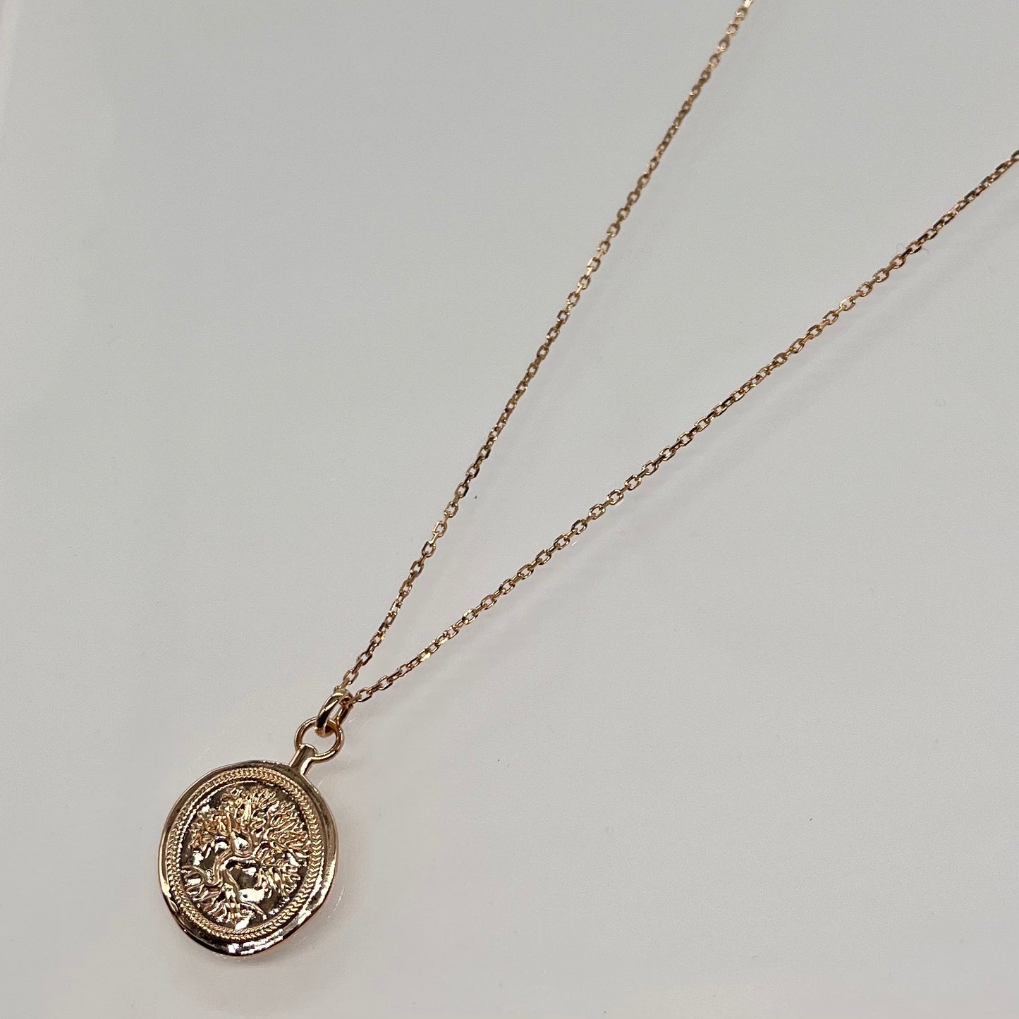 Collier plaqué or Racine