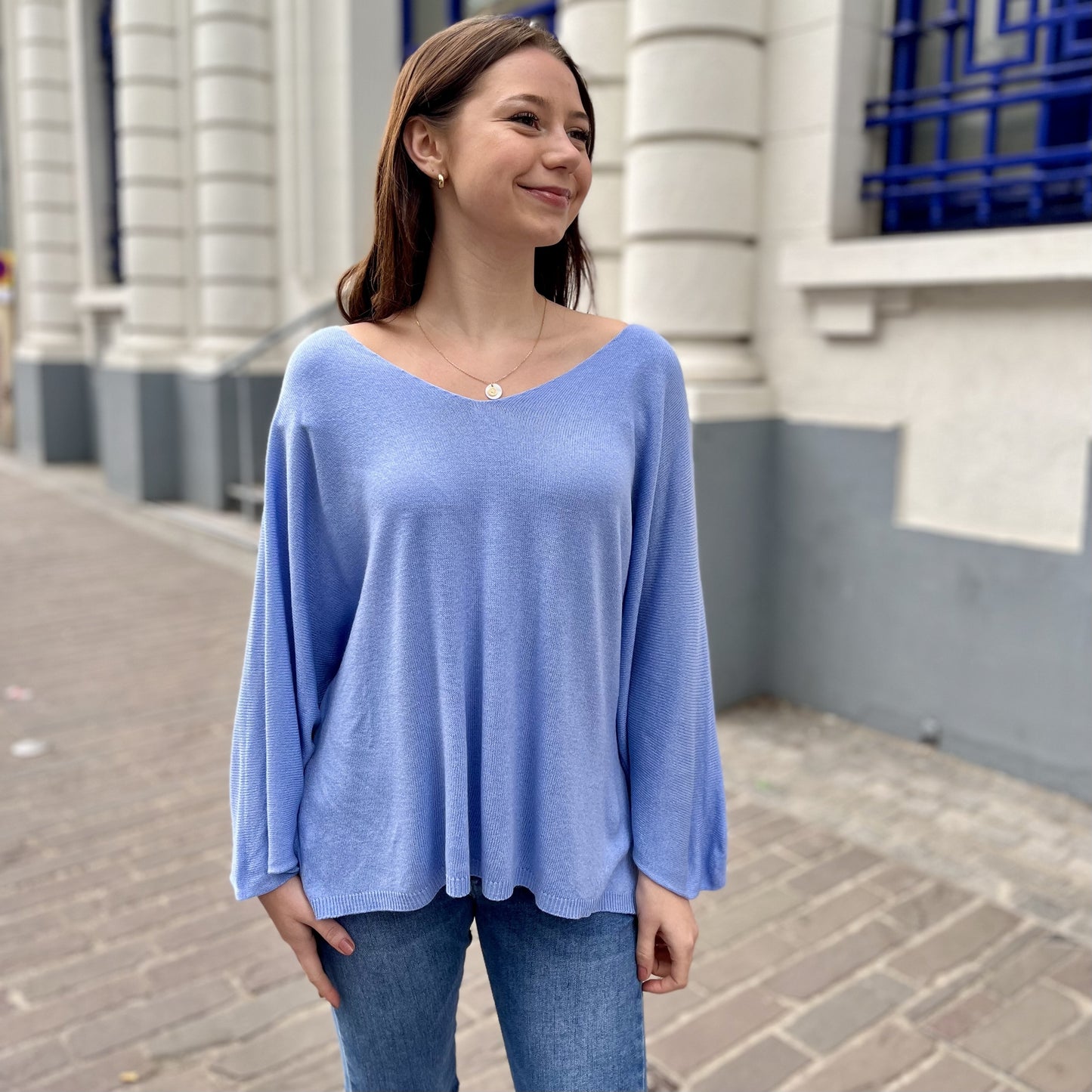 Pull chauve souris CIEL