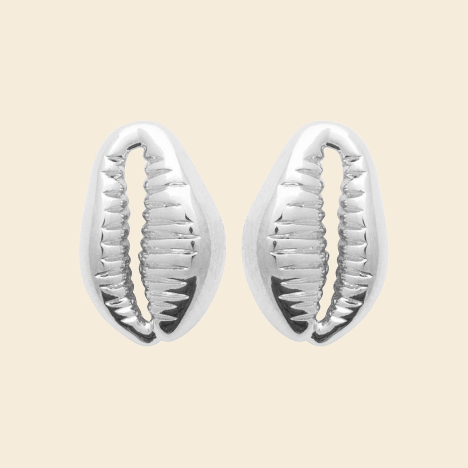 Clous cauri en argent rhodié 