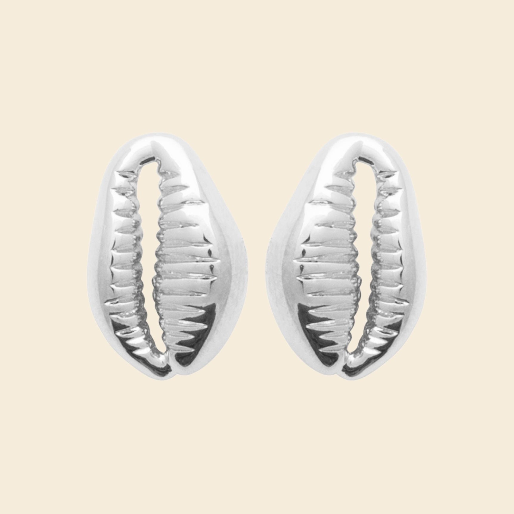 Clous cauri en argent rhodié 