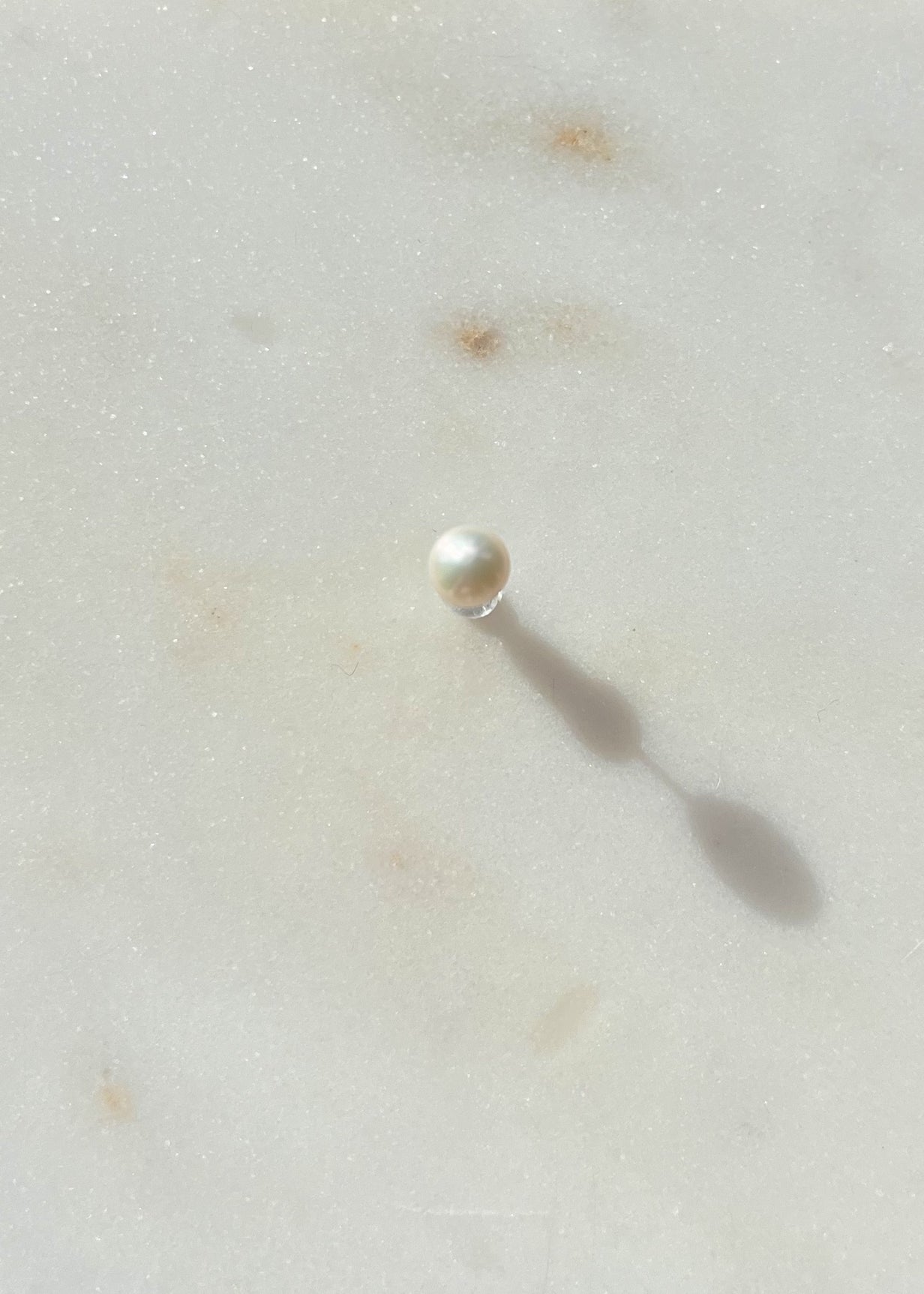 Puce perle à l'unité Moyen modèle 