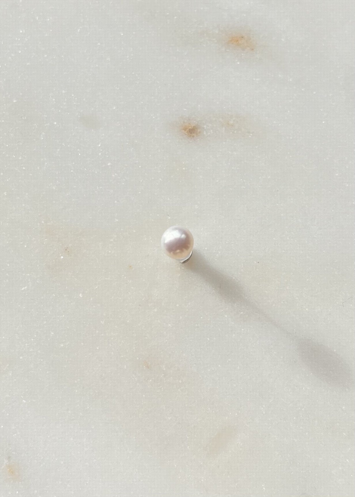 Puce perle à l'unité Petit modèle 