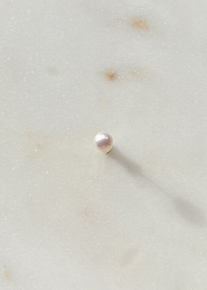 Puce perle à l'unité Petit modèle 